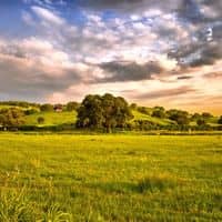 Founded by Land Pros