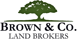 Russell Brown : Brown & Company