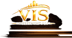 Vladimir Statsenko @ VIS Investment LLC
