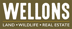 Ben Wellons : Wellons Real Estate