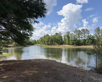 Hunting and Investment Tract with Two Private Lakes