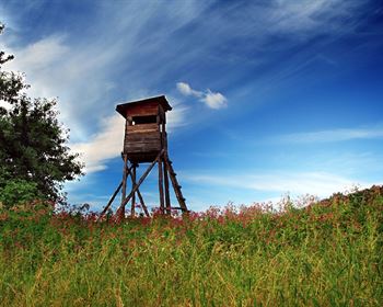 Land Q&A: Approaching Landowners About Buying Land That’s Not for Sale