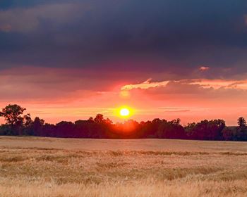 So You Got a Letter Offering to Buy Your Land? (Part 1)
