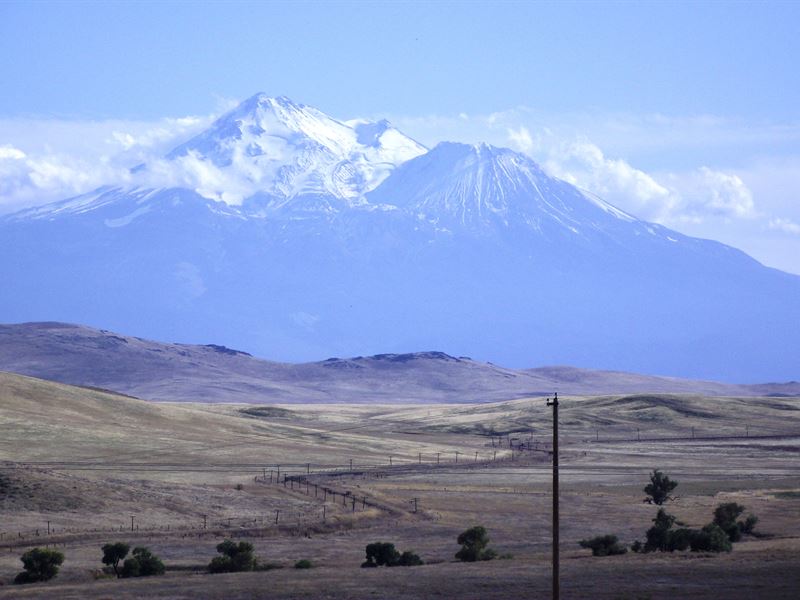 Mount Shasta Estate : Montague : Siskiyou County : California