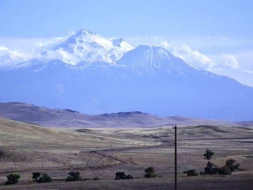 Mount Shasta Estate : Montague : Siskiyou County : California