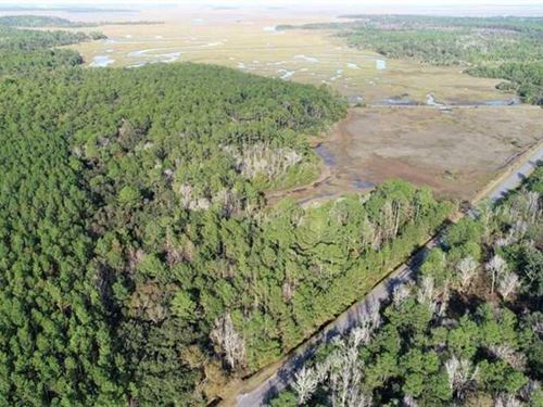 Marsh Front Land For Sale in Camden : Waverly : Camden County : Georgia