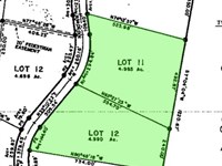 Alaska Land For Sale, 9.97 Acres : Koyukuk : Yukon Koyukuk Borough : Alaska