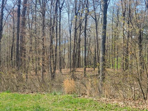 Gated Cherokee Lake Living : Rutledge : Grainger County : Tennessee