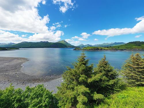 The Point Lot 5A Cliff Point : Kodiak : Kodiak Island Borough : Alaska