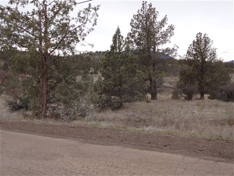 Rural Forested Lot in Siskiyou : Hornbrook : Siskiyou County : California