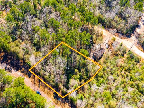 .31Ac Wooded Lot, Water & Elec : Ivanhoe : Tyler County : Texas