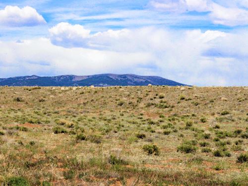 .19Ac Tiny Home & RV OK No HOA : La Jara : Conejos County : Colorado