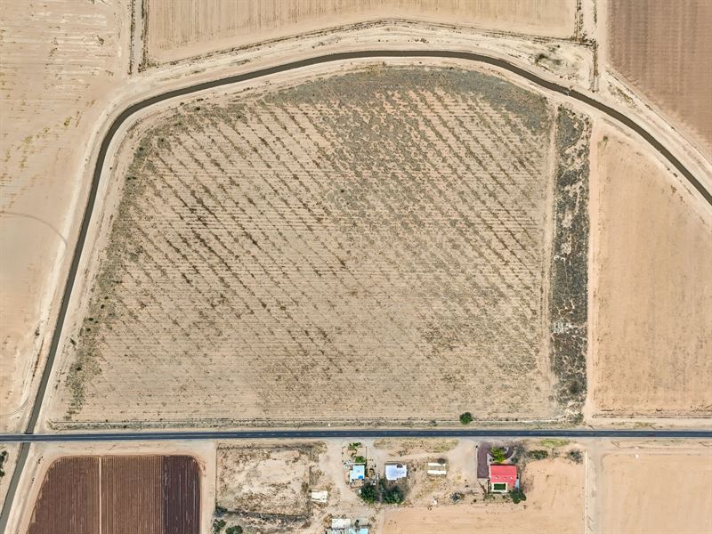 Casa Grande Farm Land : Casa Grande : Pinal County : Arizona