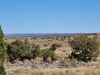 Connecting Lots, Camp with Your Bff : Saint John : Apache County : Arizona