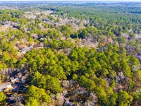 .33 Acres Tx, Lake Access Lot : Trinity : Texas