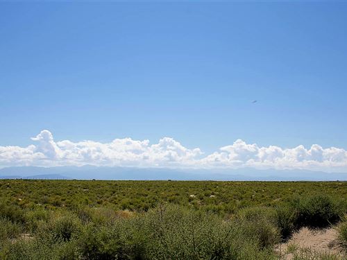 35 Acres CO Land, Mountain Views : Alamosa : Colorado