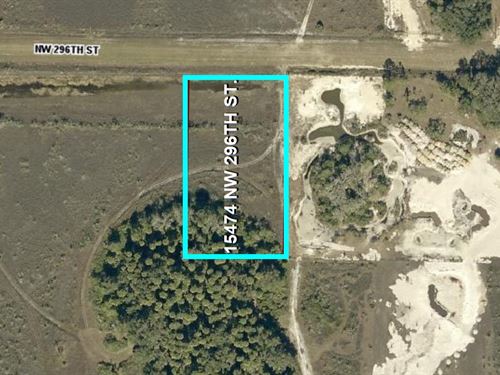 Land for Small Homestead : Okeechobee : Florida
