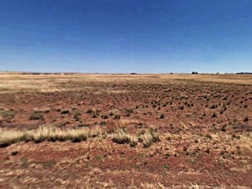 1.25 Acres in Navajo County, AZ : Sun Valley : Navajo County : Arizona