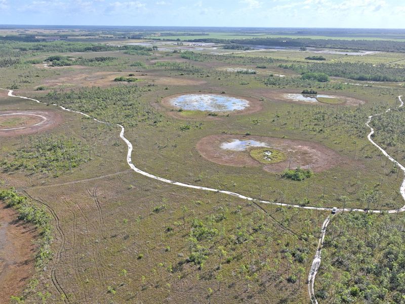 Jupiter 640 Acre Recreational Tract : Jupiter : Martin County : Florida