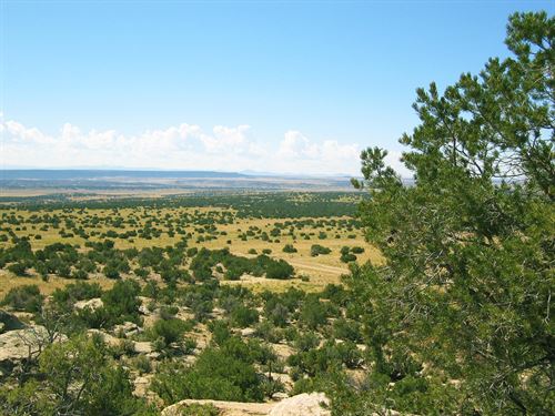 36 Acre Northern Arizona Homesteads : Saint Johns : Apache County : Arizona