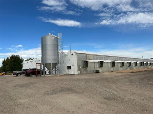 Brighton Organic Greenhouses : Brighton : Adams County : Colorado