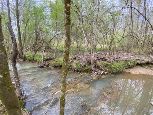 Wolf Creek Road, 34 Acres : Pell City : Saint Clair County : Alabama