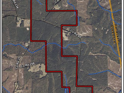 Mars Hill 1028 : Cleburne : Alabama