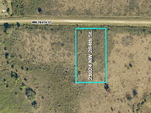Homestead and Equestrian Friendly : Okeechobee : Florida