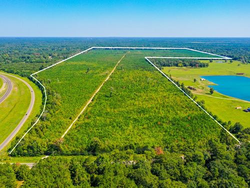 323 Acres, FM 1010 : Cleveland : Liberty County : Texas