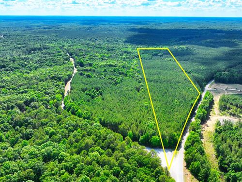 22 Acres Timberland Jackson TN : Henderson : Chester County : Tennessee