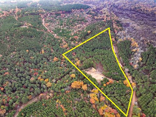 17 Acres, County Road 1651 T-2 : Avinger : Marion County : Texas