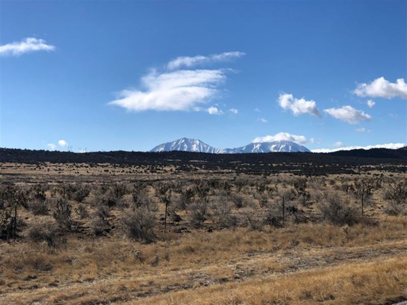 1 Highway 69/Indian Pool Ranch, Wal : Walsenburg : Huerfano County : Colorado
