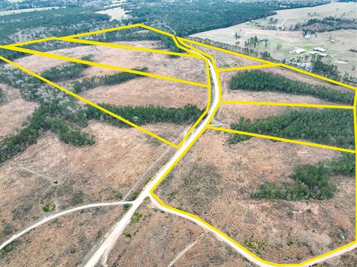 29 Acres, Paces Creek T-2A : Moscow : Polk County : Texas