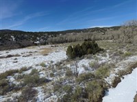 Mt. Blanca & Mt. Lindsey in Sight : Fort Garland : Costilla County : Colorado
