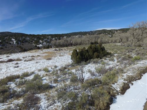 Mt. Blanca & Mt. Lindsey in Sight : Fort Garland : Costilla County : Colorado