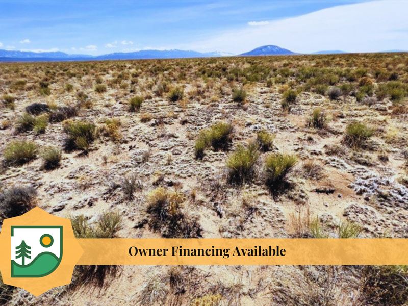 Hunting Land with Great Views : San Acacio : Costilla County : Colorado