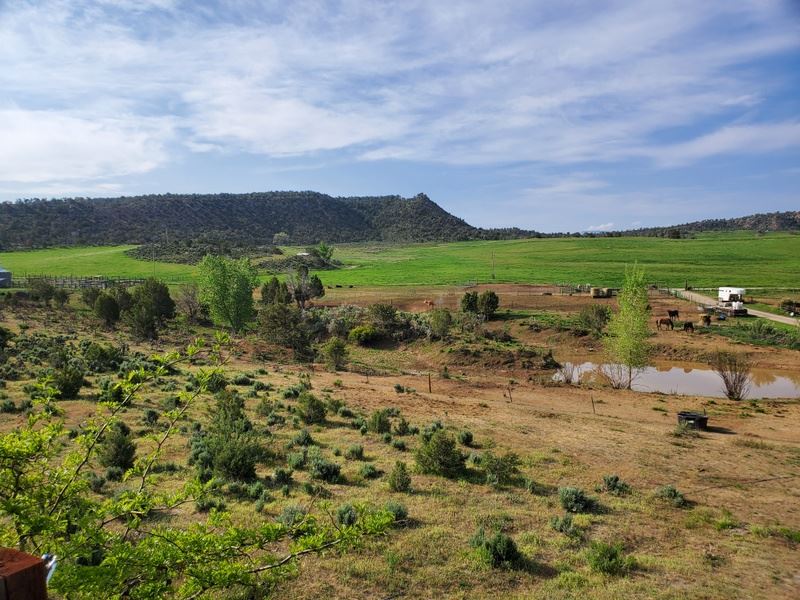 Highline Meadow 98 : Silt : Garfield County : Colorado