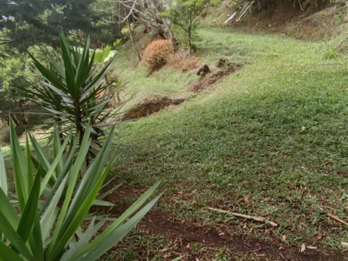 Eco Rural Fantasy : Turrialba : Costa Rica