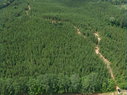 91.7 Acres in Leake County in Kosci : Kosciusko : Leake County : Mississippi