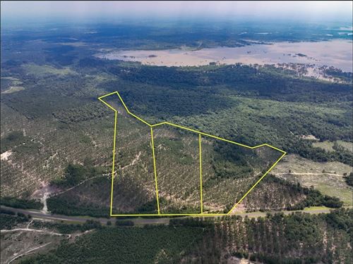 26 Acres, FM 92 T-13 : Homer : Tyler County : Texas