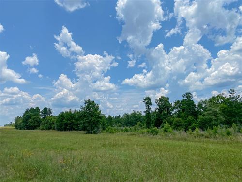 411 Acres, Hwy 59 : Corrigan : Polk County : Texas
