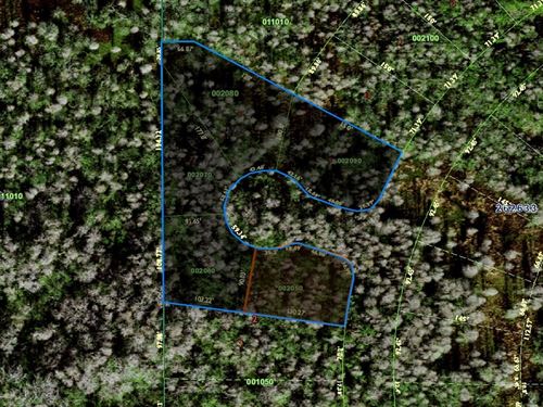 Entire Cul-De-Sac, 5 Lots, 5 Deeds : Lake Alfred : Polk County : Florida