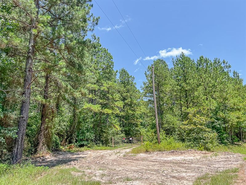 37 Acres, CR 364 T-1 : Zavalla : Liberty County : Texas