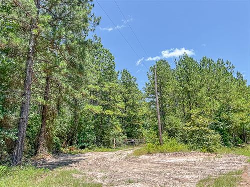 37 Acres, CR 364 T-1 : Zavalla : Liberty County : Texas