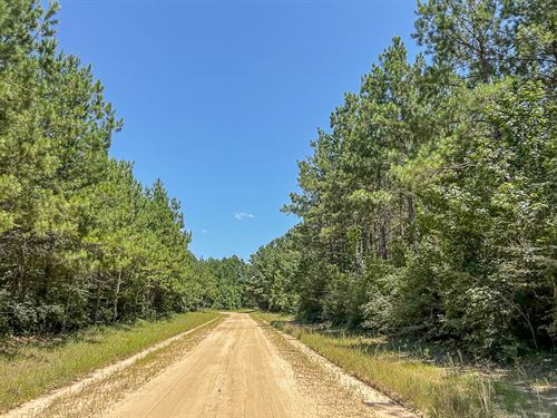 21 Acres, T-17 Saron : Zavalla : Angelina County : Texas