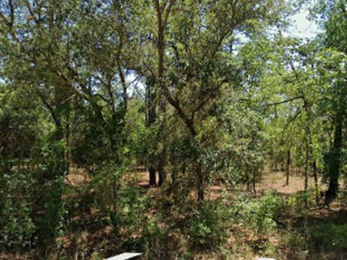 .24 Acre Off Hemlock Ave : Dunnellon : Marion County : Florida