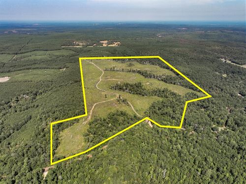 189 Acres, CR 3725 : Colmesneil : Tyler County : Texas