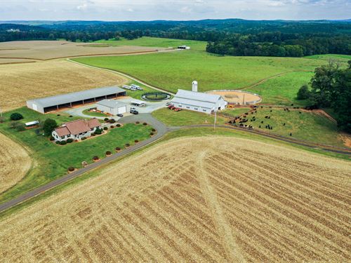 Durham County Horse And Cattle Farm : Rougemont : Durham County : North Carolina