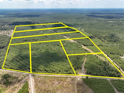 39 Acres, CR 1420 T-18 : Warren : Tyler County : Texas