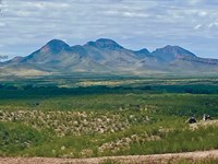 Scenic Views, Motivated Seller : Huachuca City : Cochise County : Arizona